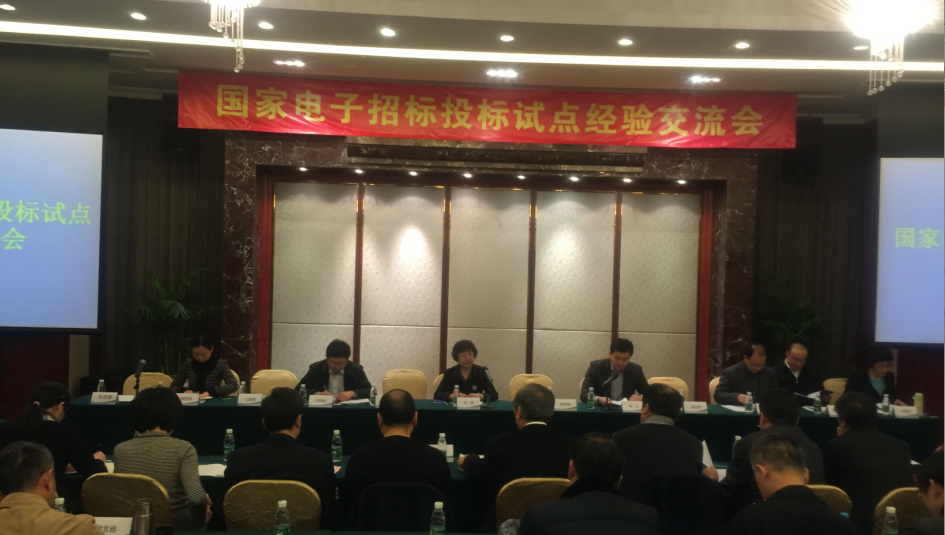 任瓏會長在國家電子招標投標試點經(jīng)驗交流會上的講話全文
